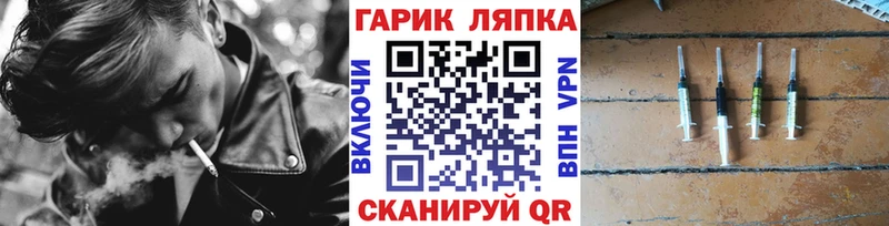 где купить наркоту  Покровск  Гашиш индика сатива 