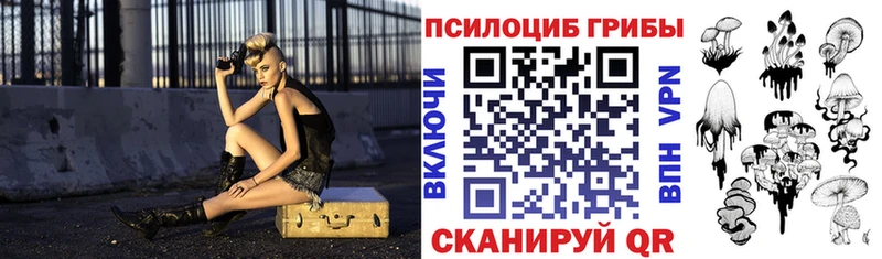 дарк нет формула  Покровск  Галлюциногенные грибы Magic Shrooms  купить  цена 
